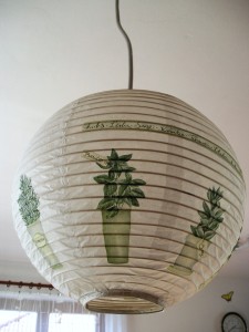 P6060045